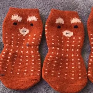 Dogs socks